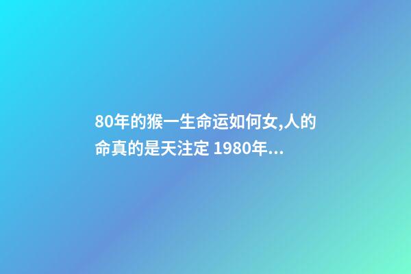 80年的猴一生命运如何女,人的命真的是天注定 1980年属猴女人命运 80年女猴一生性格命运-第1张-观点-玄机派